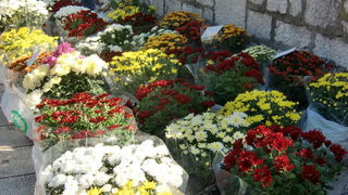 Gradska trznica uoci dana mrtvih, Foto: Mia Knezevic