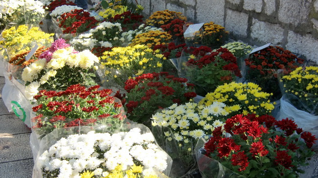 Gradska trznica uoci dana mrtvih, Foto: Mia Knezevic