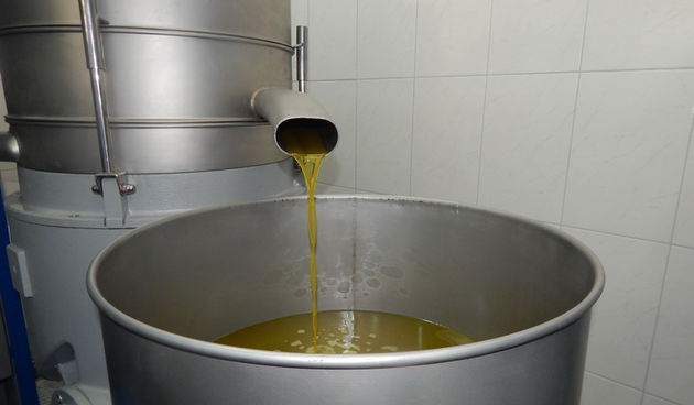 Uljara Predovan u Vrsima, maslinovo ulje