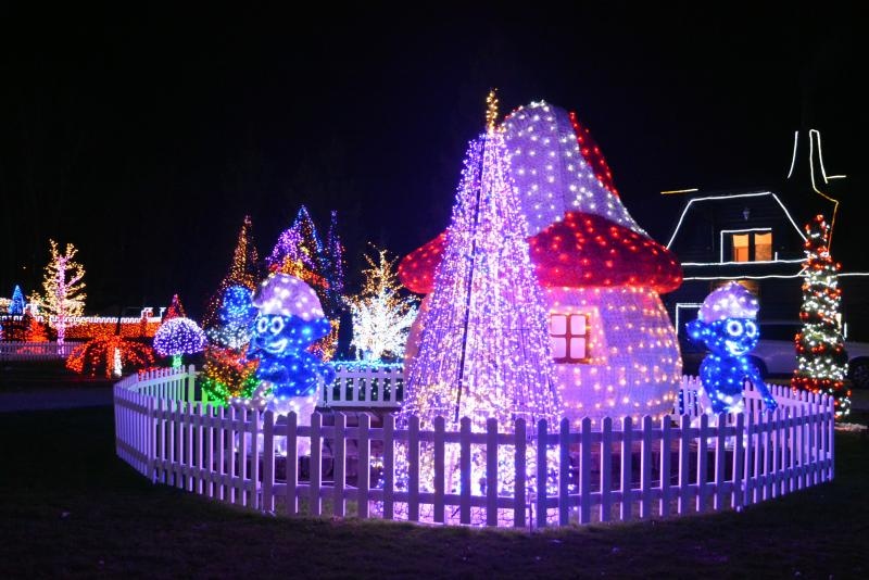 Dva milijuna lampica za božićnu čaroliju na imanju Salaj