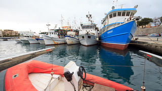 Ribarice u zadarskoj luci, Foto: Leo Banić