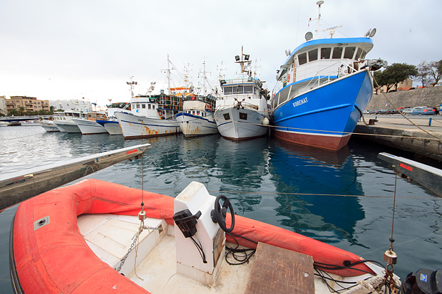 Ribarice u zadarskoj luci, Foto: Leo Banić