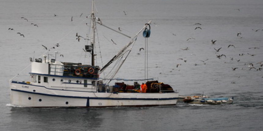 Zadar, 011010.
Ribarica se vraca u luku u pratnji galebova.
Foto: Vladimir Ivanov / Cropix Zadar, 011010.
Ribarica se vraca u luku u pratnji galebova.
Foto: Vladimir Ivanov / Cropix