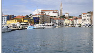 Brodom od Istre do Zadra