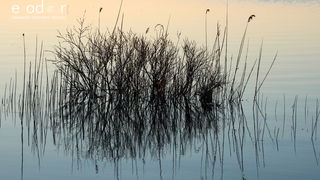 Nedjeljno svitanje na Vranskom jezeru Nedjeljno svitanje na Vranskom jezeru