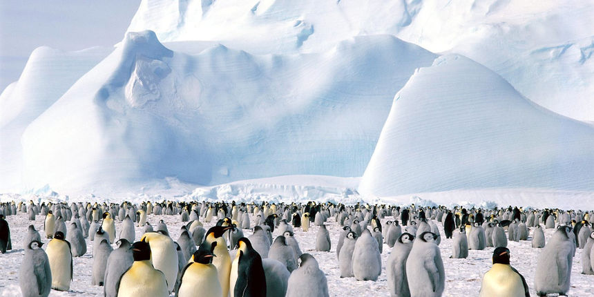 Antarktika-pingvini Antarktika-pingvini