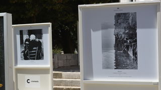 Izložba “Prijatelji mora” na pulskom Forumu, foto: Robi.B/hedonist385.com