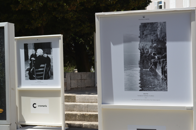 Izložba “Prijatelji mora” na pulskom Forumu, foto: Robi.B/hedonist385.com