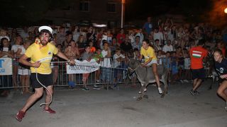 10. međunarodna trka tovarov Tisno 2015