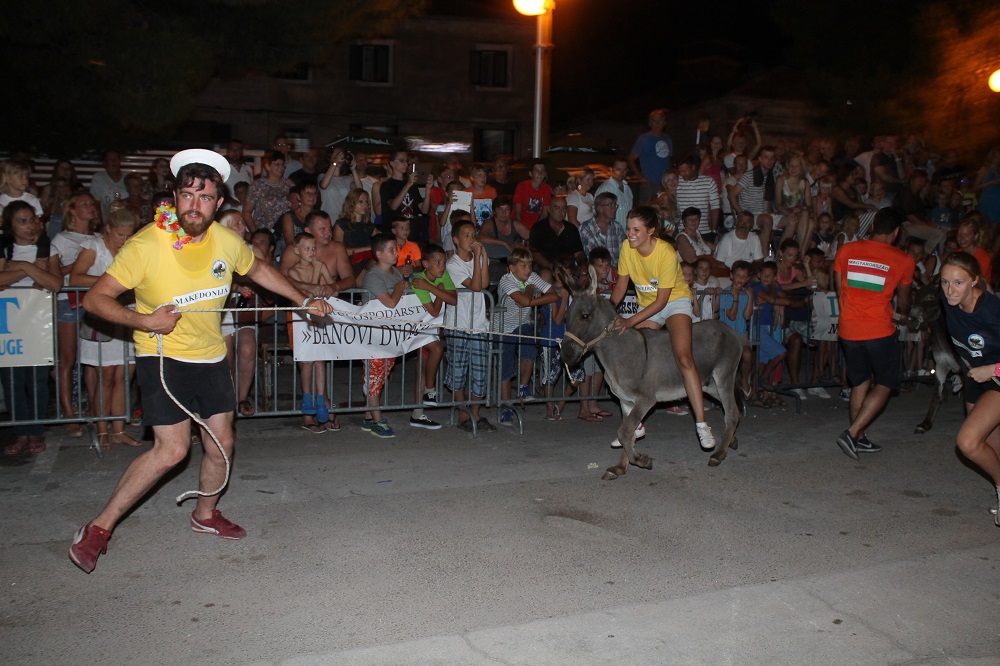 10. međunarodna trka tovarov Tisno 2015