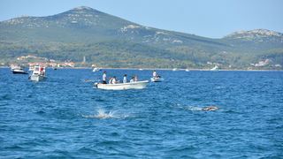44. Plivački maraton Preko-Zadar 44. Plivački maraton Preko-Zadar