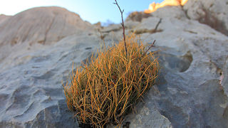 Uspon na Bojin Kuk i pogled na Italiju, Foto: Leo Banić Uspon na Bojin Kuk i pogled na Italiju, Foto: Leo Banić