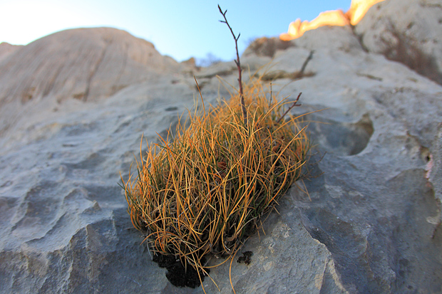 Uspon na Bojin Kuk i pogled na Italiju, Foto: Leo Banić Uspon na Bojin Kuk i pogled na Italiju, Foto: Leo Banić