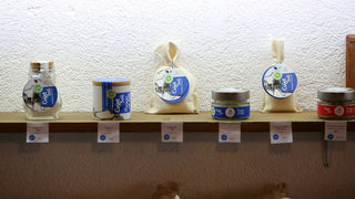 Posjet Solani Nin i Kraljevskim vinogradima u Petrčanima