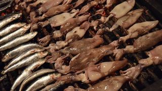 Zadar: Posljednja večer tradicionalne fešte Noć punog miseca, Photo: Dino Stanin/PIXSELL