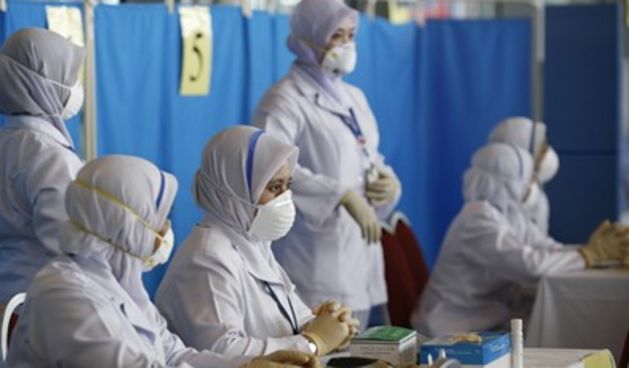 Svinjska gripa – testiranje (Foto: Reuters)