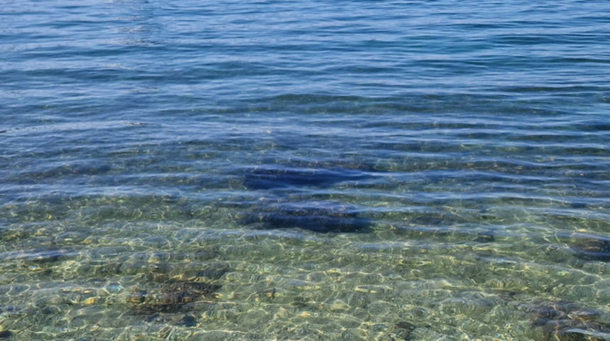 Čisto more, kruzer, bonaca Čisto more, kruzer, bonaca