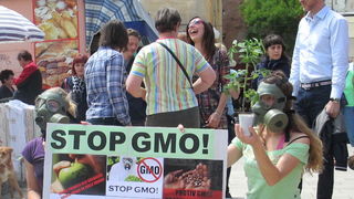 Prosvjed protiv Monstanta u Zadru