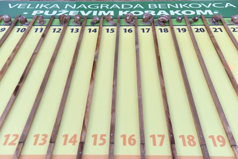 “Puževim korakom” Benkovac: 6. Prvenstvo Hrvatske u utrci puževa “Puževim korakom” Benkovac: 6. Prvenstvo Hrvatske u utrci puževa
