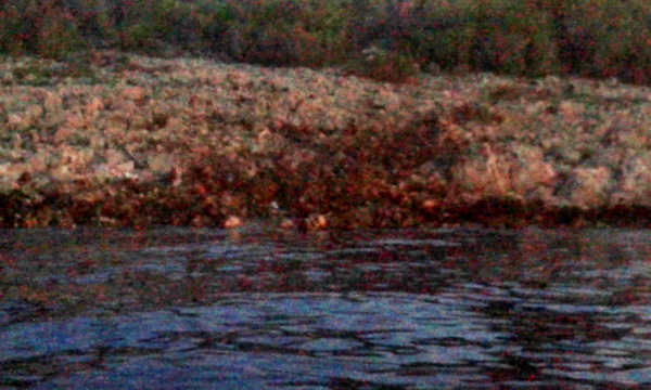 Dugi otok: Kontroliranom eksplozijom uništena podmorska mina