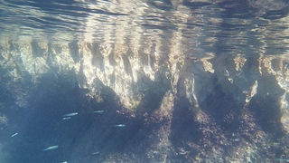 OLYMPUS DIGITAL CAMERA OLYMPUS DIGITAL CAMERA