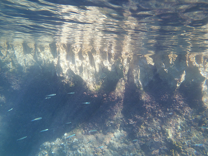 OLYMPUS DIGITAL CAMERA OLYMPUS DIGITAL CAMERA