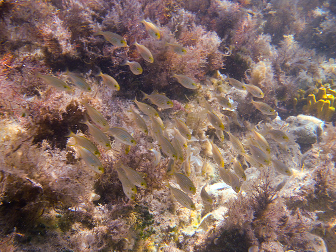 OLYMPUS DIGITAL CAMERA OLYMPUS DIGITAL CAMERA