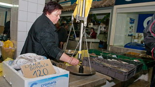 S pjace i peskarije, 24. prosinca 2010., Foto: Leo Banic