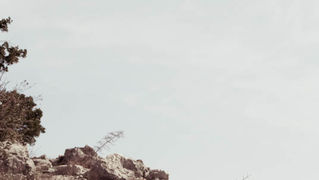 Šetnjica poučnom stazom sv. Leopolda Mandića, Mosor, foto: Darko Belančić