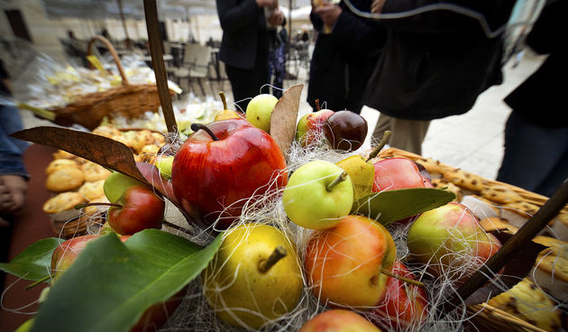 Sajam jabuka srednje škole Stanka Ožanića, foto: Marin Pitton