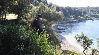 Sredozemna medvjedica na pulskoj plaži, Foto: Duško Marušić/PIXSELL Sredozemna medvjedica na pulskoj plaži, Foto: Duško Marušić/PIXSELL