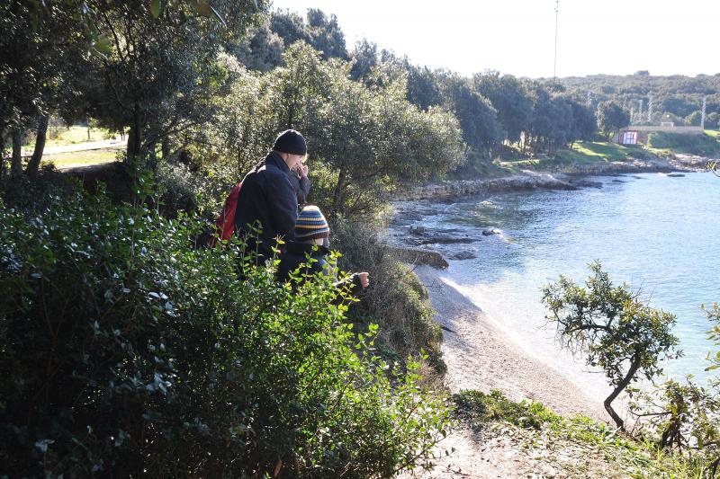 Sredozemna medvjedica na pulskoj plaži, Foto: Duško Marušić/PIXSELL Sredozemna medvjedica na pulskoj plaži, Foto: Duško Marušić/PIXSELL