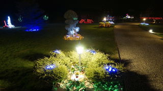 Cazma, 060412.
Obitelj Salaj iz Grabovnice kraj Cazme po prvi je put po uzoru na bozicni ugodjaj priredila i “Uskrsnu pricu”. Za tu su priliku imanje ukrasili s 2700 pisanica, zeceva, pilica i pijetlova koji svijetle po noci i ostavljaju posjetioce bez da