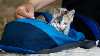 Đir po gradu, 23. lipnja 2021. Đir po gradu, 23. lipnja 2021.