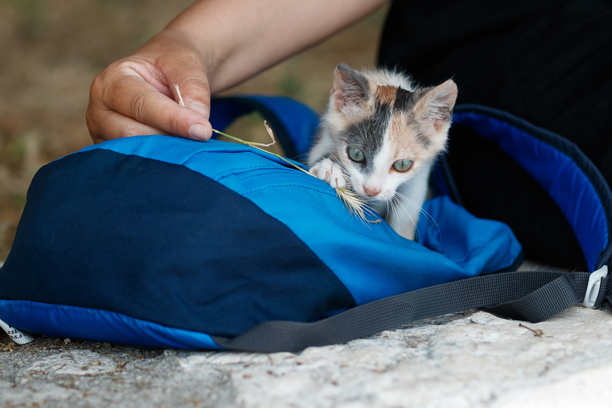 Đir po gradu, 23. lipnja 2021. Đir po gradu, 23. lipnja 2021.