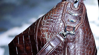 Torbice za proljeće 2010.