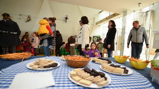 Image 381151 (auto) Image 381151 (auto)