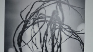 Stipe Surać – Rock N’Roll DeLuxe ; foto Iva Perinčić