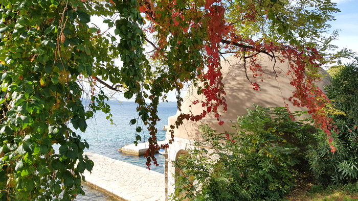 Boje zadarske jeseni. Foto: Mladen Malik