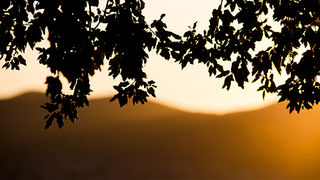 Zadarski suton 7. siječnja 2013. (foto:Saša Čuka)