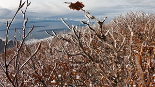 Đir do vrha Zečjak na sjevernom Velebitu, Foto: Leo Banić