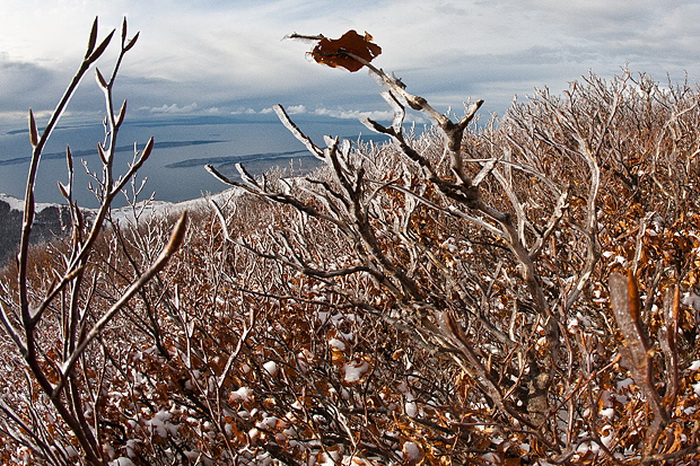 Đir do vrha Zečjak na sjevernom Velebitu, Foto: Leo Banić