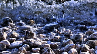 Đir po otoku Pagu – Šimuni, Foto: Leonard Kvarantan