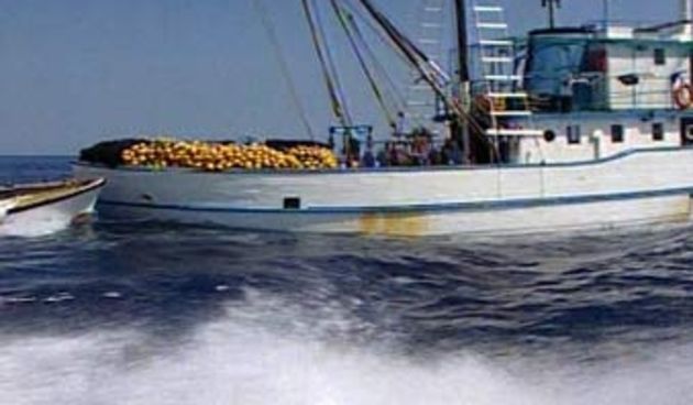 Koćarica (Foto: HTV)