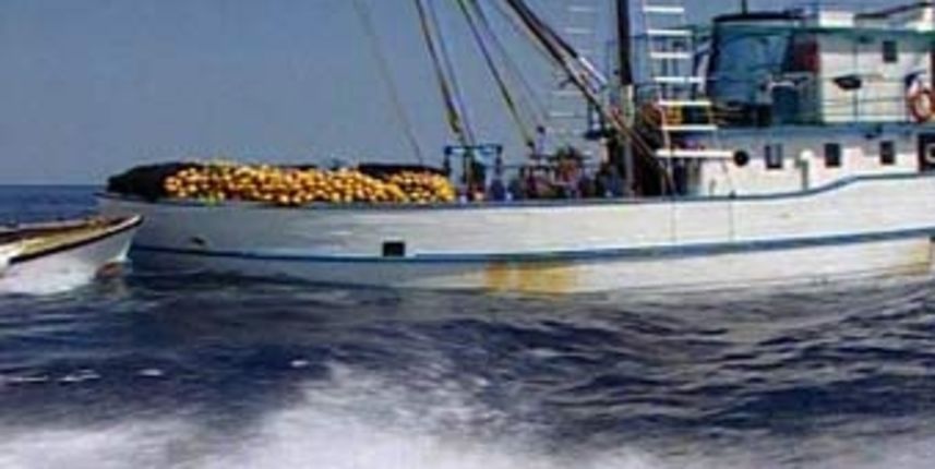 Koćarica (Foto: HTV)