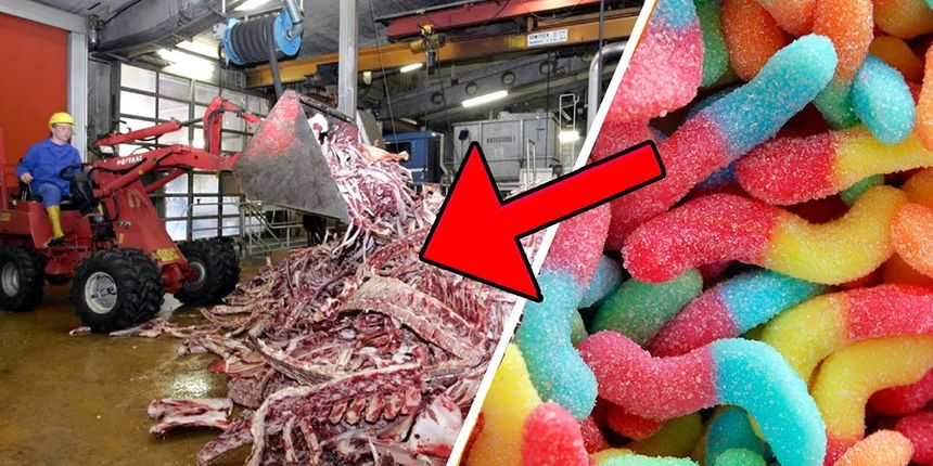 Proizvođači određenih proizvoda zaista ne bi voljeli da pogledate ovaj video Proizvođači određenih proizvoda zaista ne bi voljeli da pogledate ovaj video