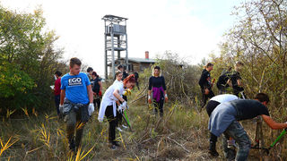 Na Vranskom jezeru održana akcija krčenja vegetacije Na Vranskom jezeru održana akcija krčenja vegetacije