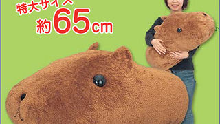 Jako čudne igračke