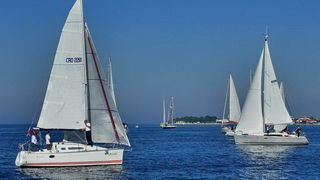 “Zadarska koka”: Regata za sve generacije snimljena iz “koke” “Zadarska koka”: Regata za sve generacije snimljena iz “koke”