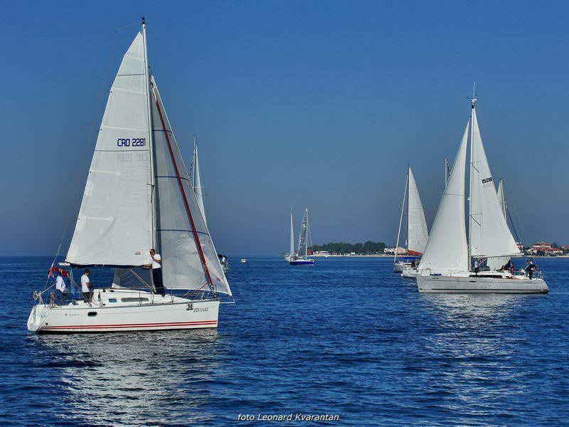 “Zadarska koka”: Regata za sve generacije snimljena iz “koke” “Zadarska koka”: Regata za sve generacije snimljena iz “koke”